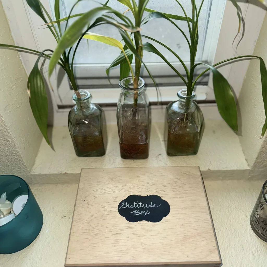 7933B09A-D041-4F78-BCC8-9C6CD4A9E9BE