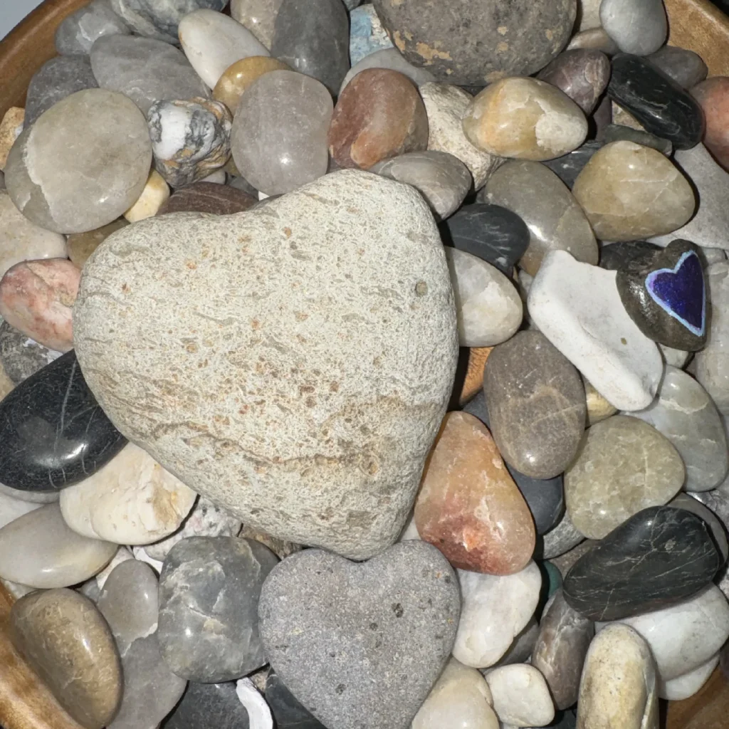 DB14BDA8-CB74-4BA8-8376-B0E0DAAFFD8C